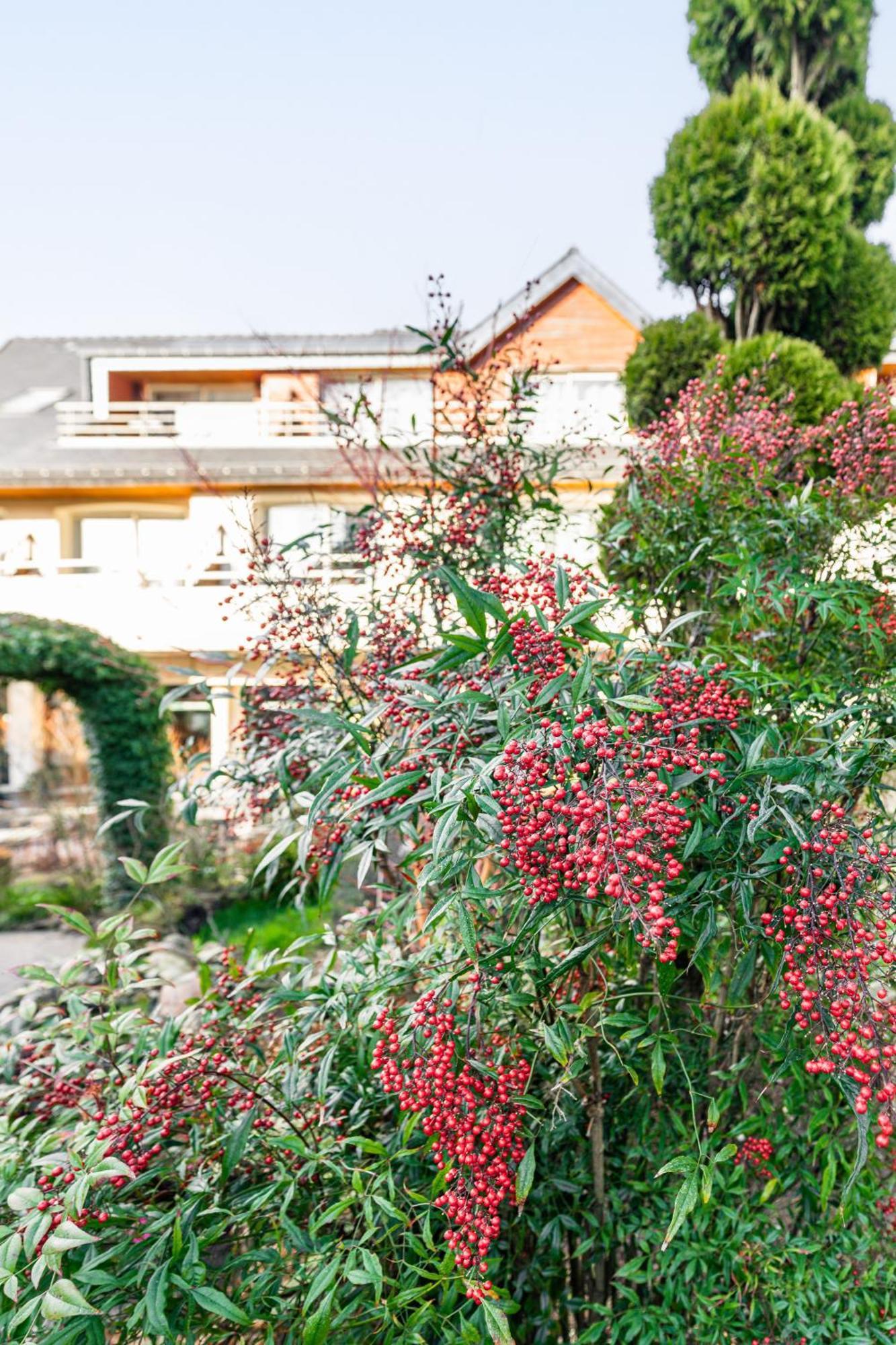 Logis L'Auberge - Maison Glenn Anna Sainte-Anne-d'Auray Экстерьер фото